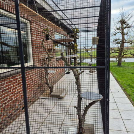 Buitenverblijf van kattenhotel Ouwe Dibbes met speel attributen