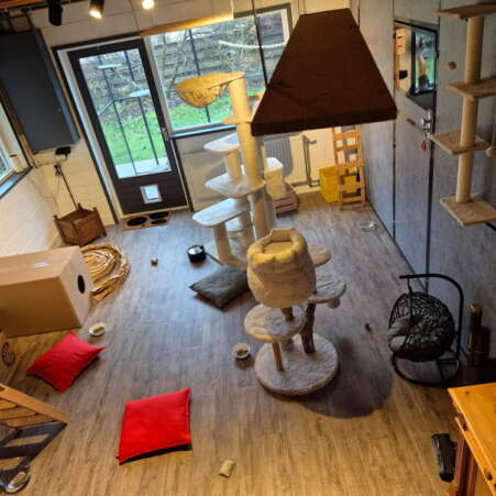 Kattenhotel Ouwe Dibbes binnenruimte met atributen en comfort
